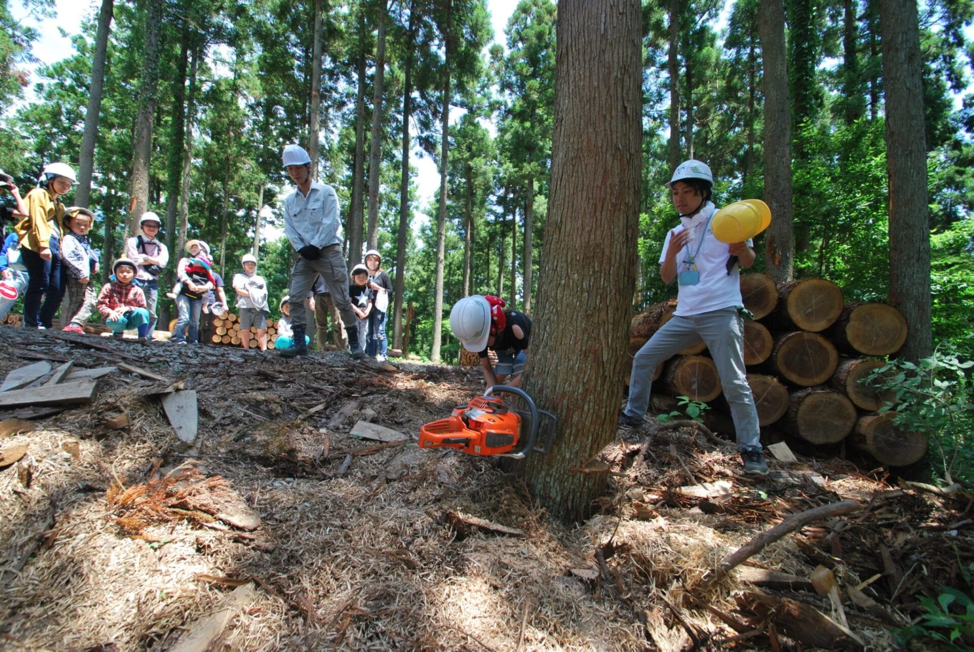 地産地消の家づくり